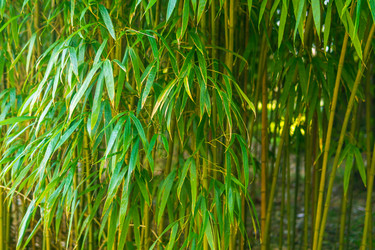 Similar image 22419142