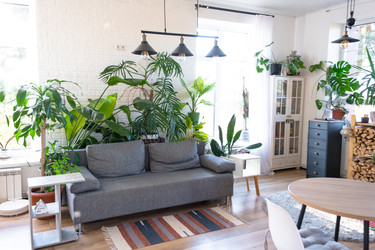 Similar image 22436871