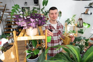 Similar image 22436874