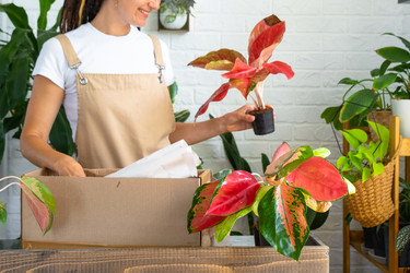 Similar image 22436875