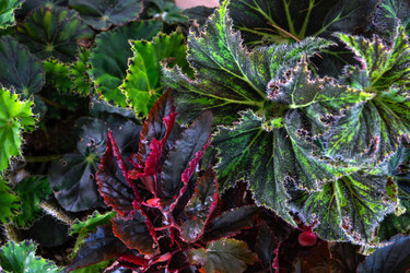 Similar image 22436876