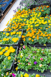 Similar image 22436879