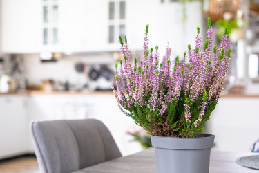 Similar image 22436881