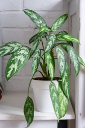 Similar image 22436883