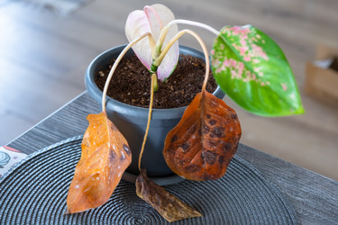 Similar image 22436886