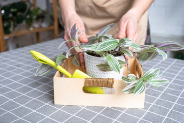 Similar image 22436891