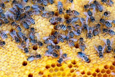 Similar image 22436895