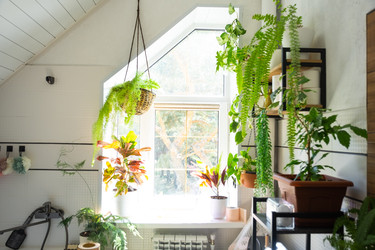 Similar image 22436896