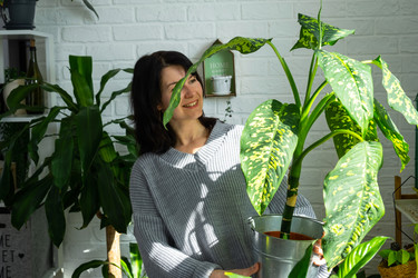 Similar image 22436899