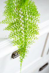 Similar image 22436901