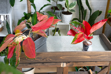 Similar image 22436907