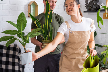 Similar image 22436914