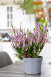 Similar image 22436920