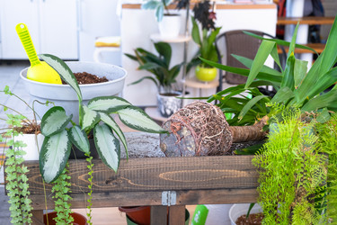 Similar image 22436921