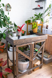 Similar image 22436922