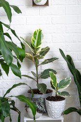 Similar image 22436926