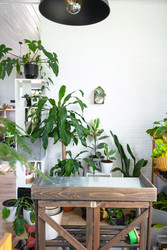 Similar image 22436927