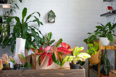 Similar image 22436929