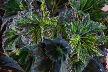 Similar image 22436935