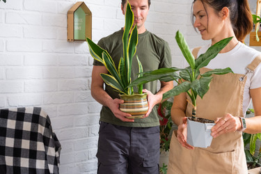 Similar image 22436936