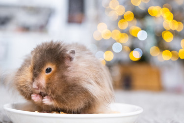 Similar image 22436937