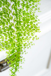 Similar image 22436939