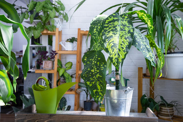 Similar image 22436942