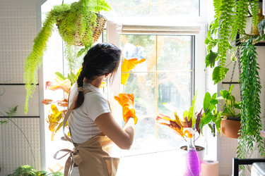 Similar image 22436946