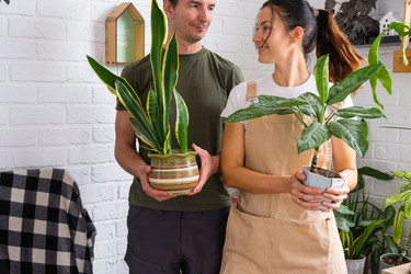 Similar image 22436948