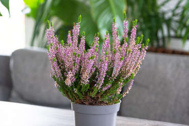 Similar image 22436952