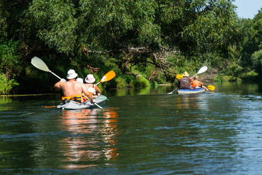 Similar image 22436958