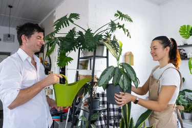 Similar image 22436961