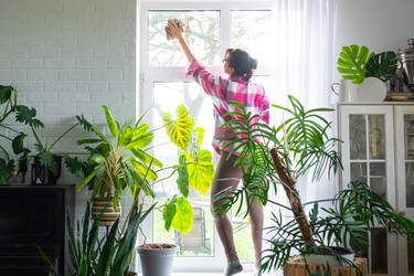 Similar image 22436967