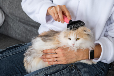 Similar image 22436970