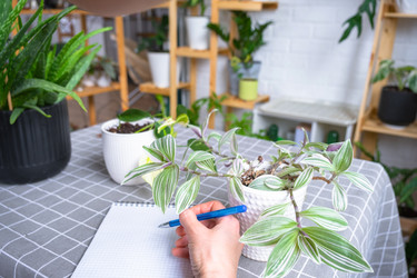 Similar image 22436977