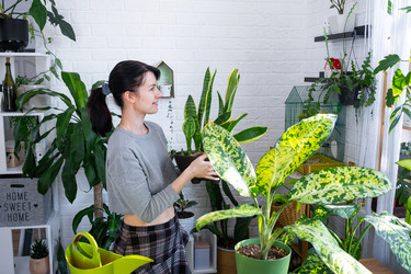 Similar image 22436978