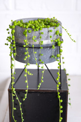 Similar image 22436981