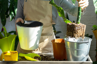 Similar image 22436991