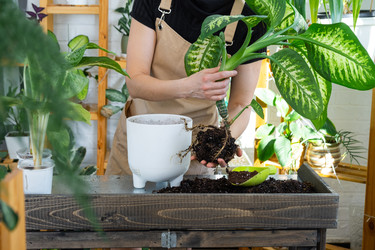 Similar image 22436992