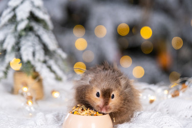 Similar image 22436995