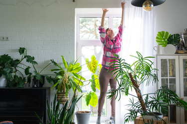 Similar image 22437003