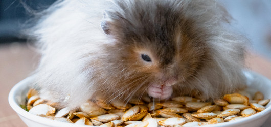 Similar image 22437006