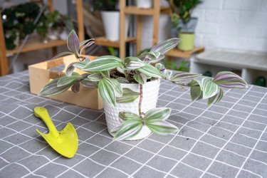 Similar image 22437012