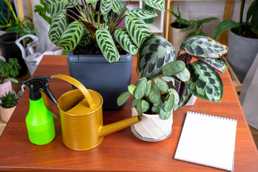 Similar image 22437013