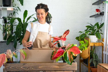 Similar image 22437018