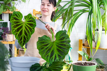 Similar image 22437020