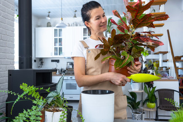 Similar image 22437030