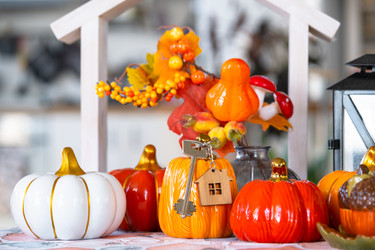 Similar image 22437035