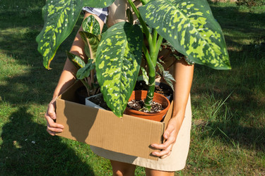 Similar image 22437036