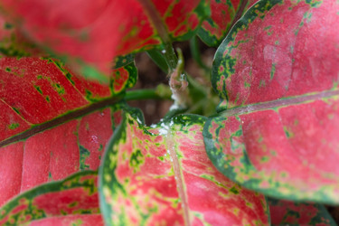 Similar image 22437042